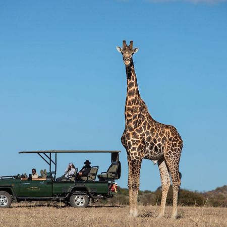 Safari Plains Villa Mabula Game Reserve Exteriör bild