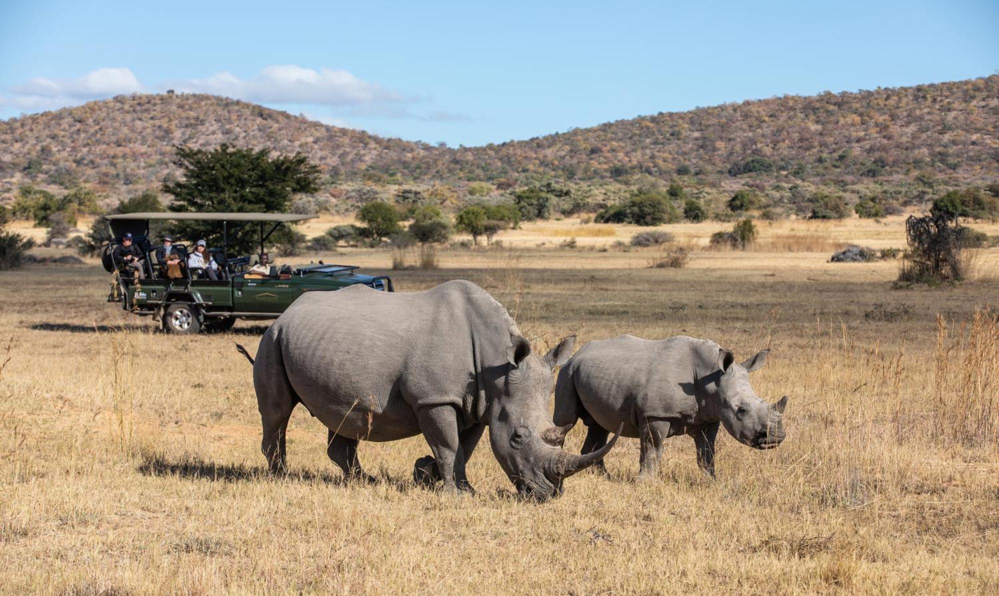 Safari Plains Villa Mabula Game Reserve Exteriör bild