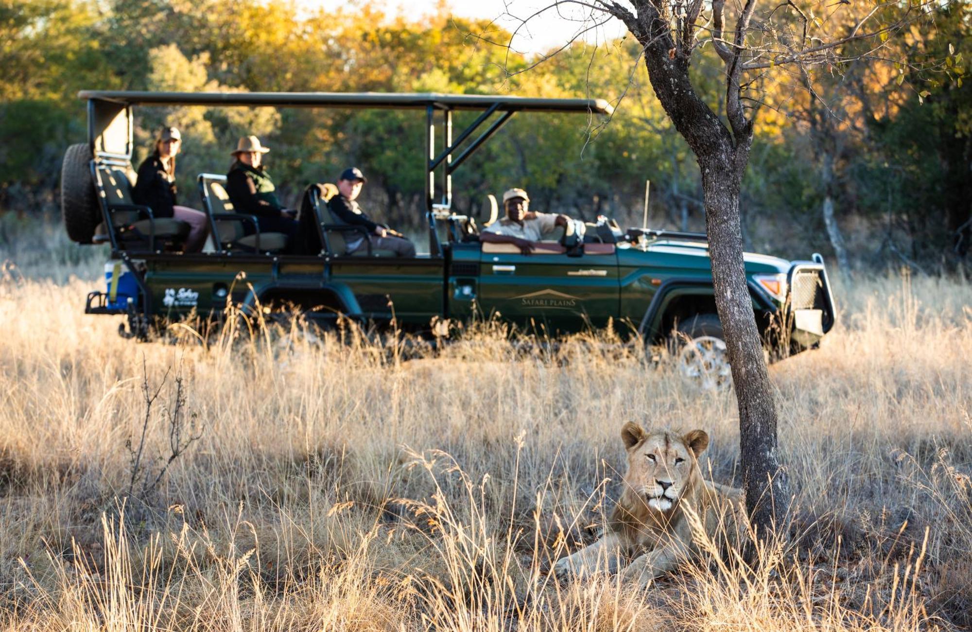 Safari Plains Villa Mabula Game Reserve Exteriör bild